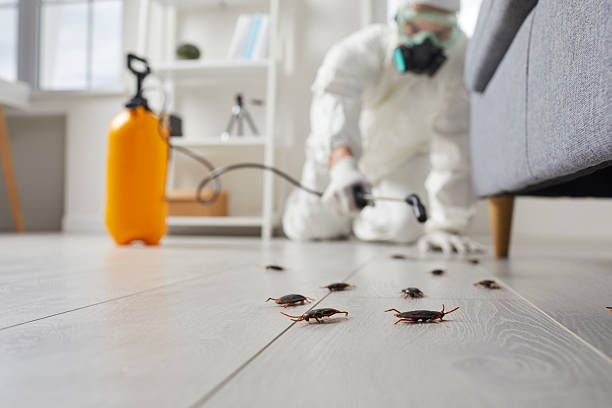 Commercial Kitchen Cockroach Control in Captains Cove